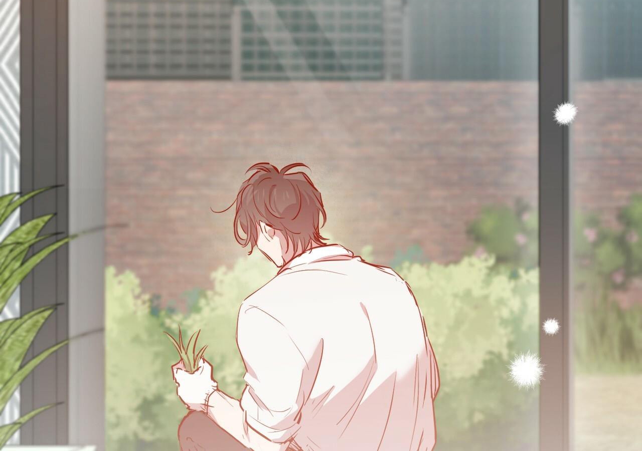 đàn thỏ của habibi chapter 20 253