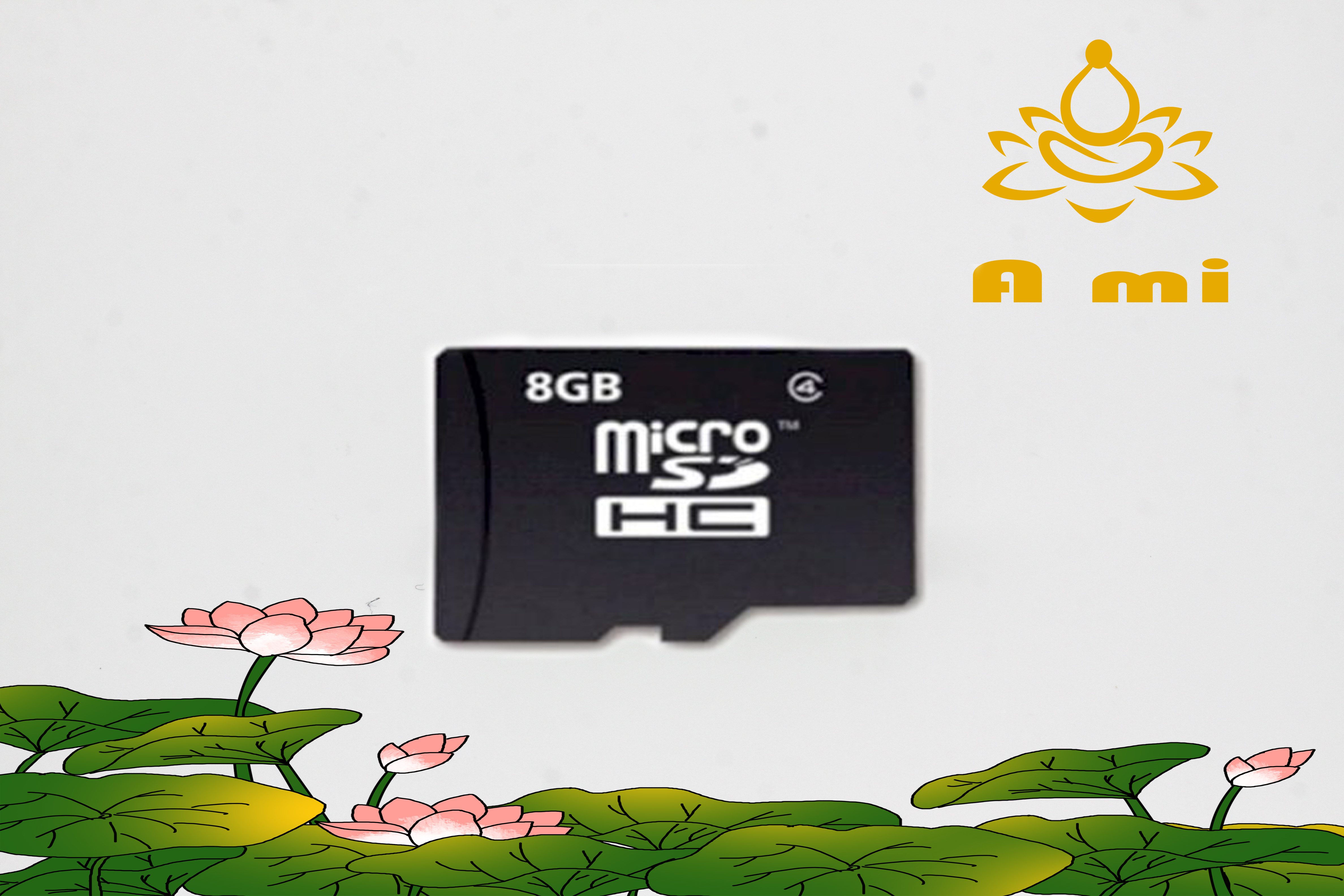 Thẻ nhớ Pháp micro