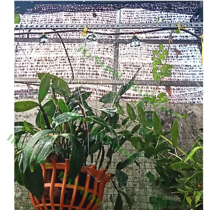 10 vòi tưới cây phun mưa chân 6 ly bán kính nhỏ 1- 1.5 mét chuyên tưới rau, hoa, cây cảnh, phong lan, cây trồng các loại