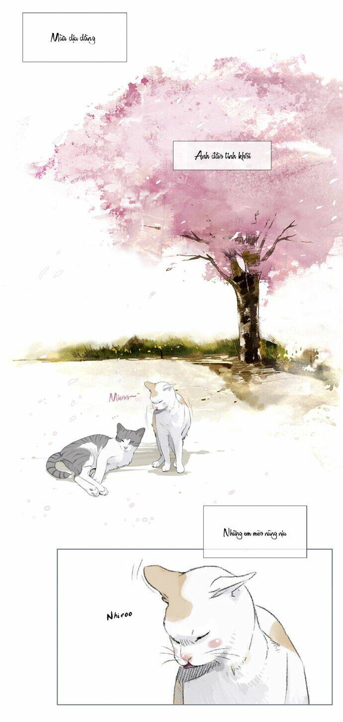 mười chín, hai mươi mốt chapter 3 4