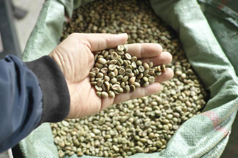 Cà Phê Nhân Xanh Arabica Sàng 16-18 chất lượng tuyệt vời (1kg)