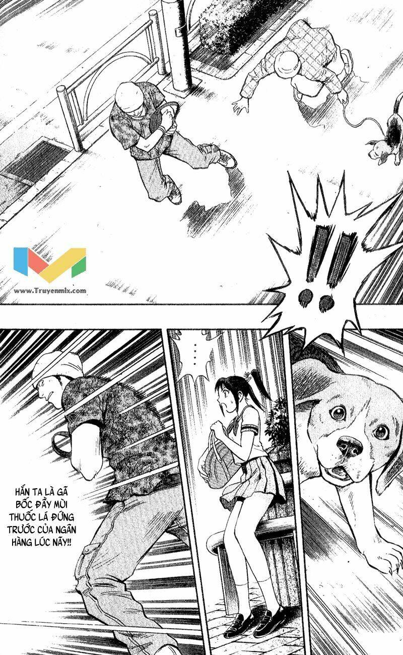 animal sense chapter 1 35