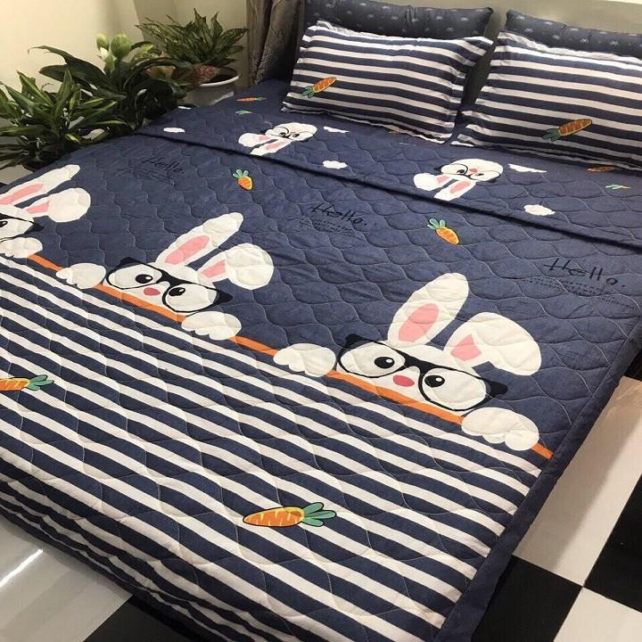 COMBO 2 BỘ GA GỐI MẪU NGỰA BAY