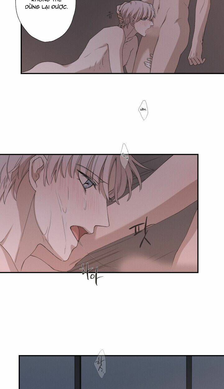 trốn tìm chapter 21 38