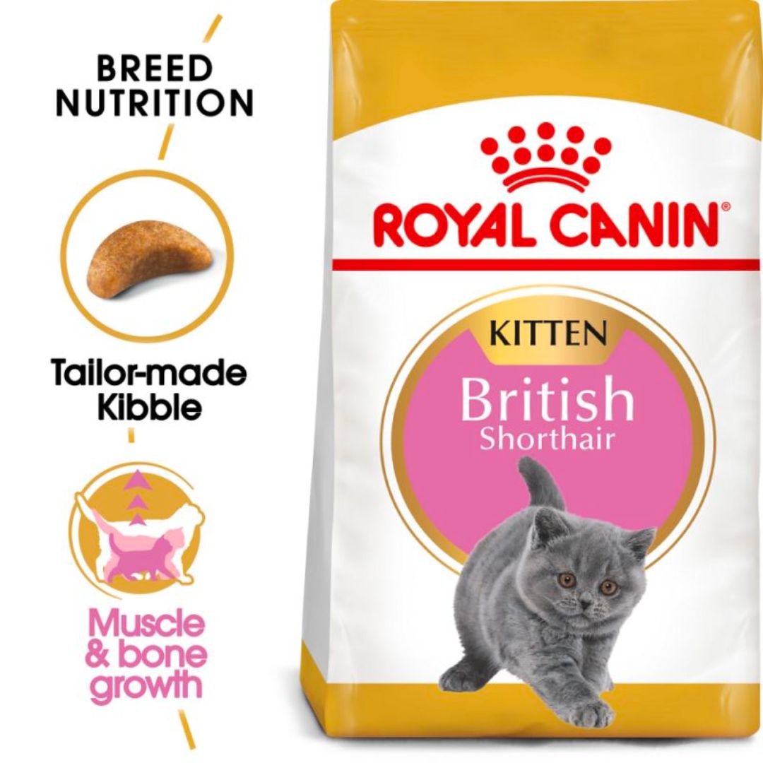 Thức Ăn Hạt Dành Cho Mèo Anh Lông Ngắn Từ 2-12 Tháng Tuổi Royal Canin British Shorthair Kitten