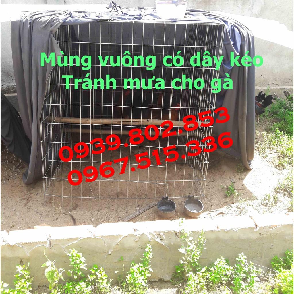 Mùng gà vuông các kích thước có dây kéo