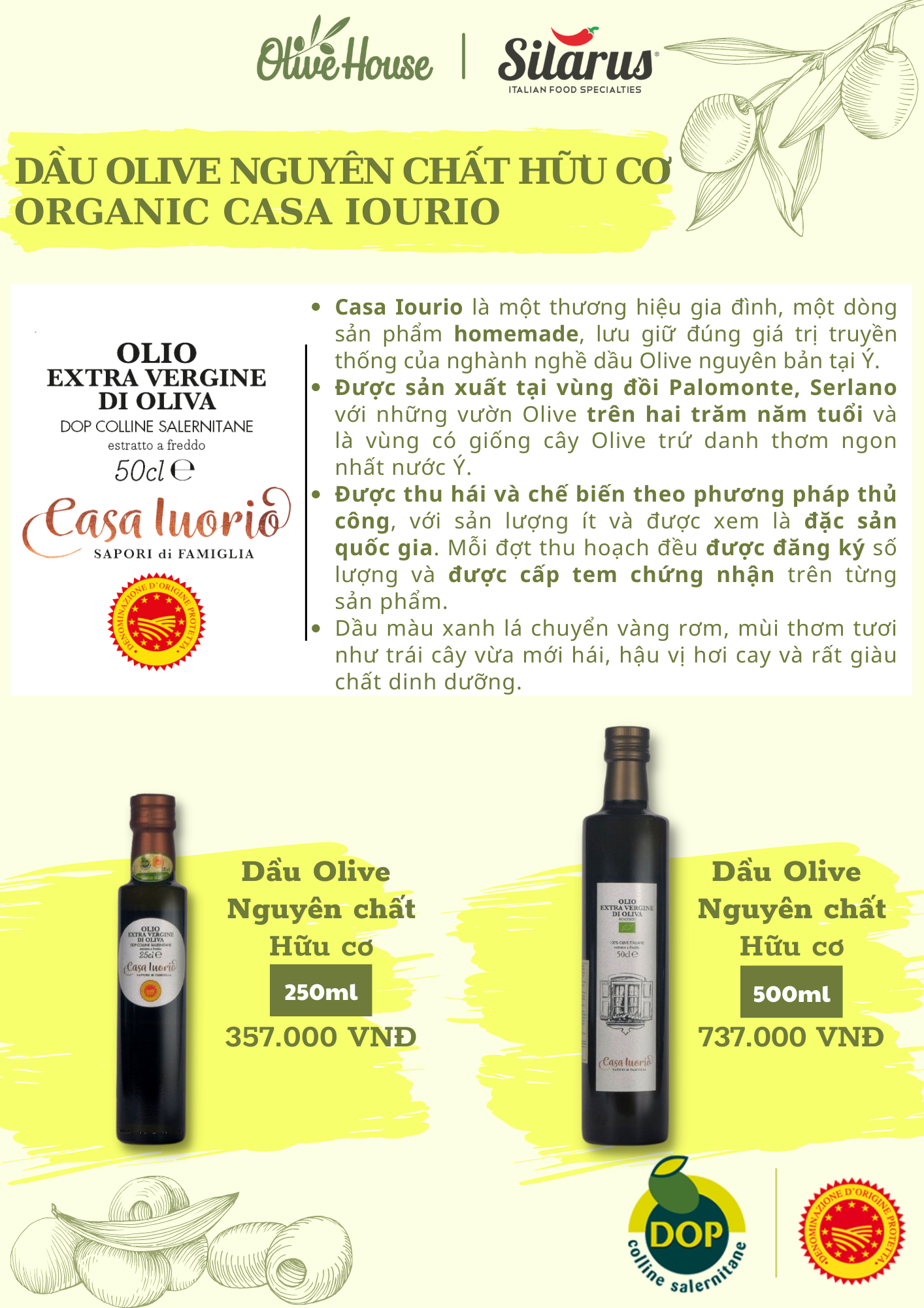 Dầu Olive Hữu cơ Nguyên chất Casa Lourio Nhập khẩu từ Ý