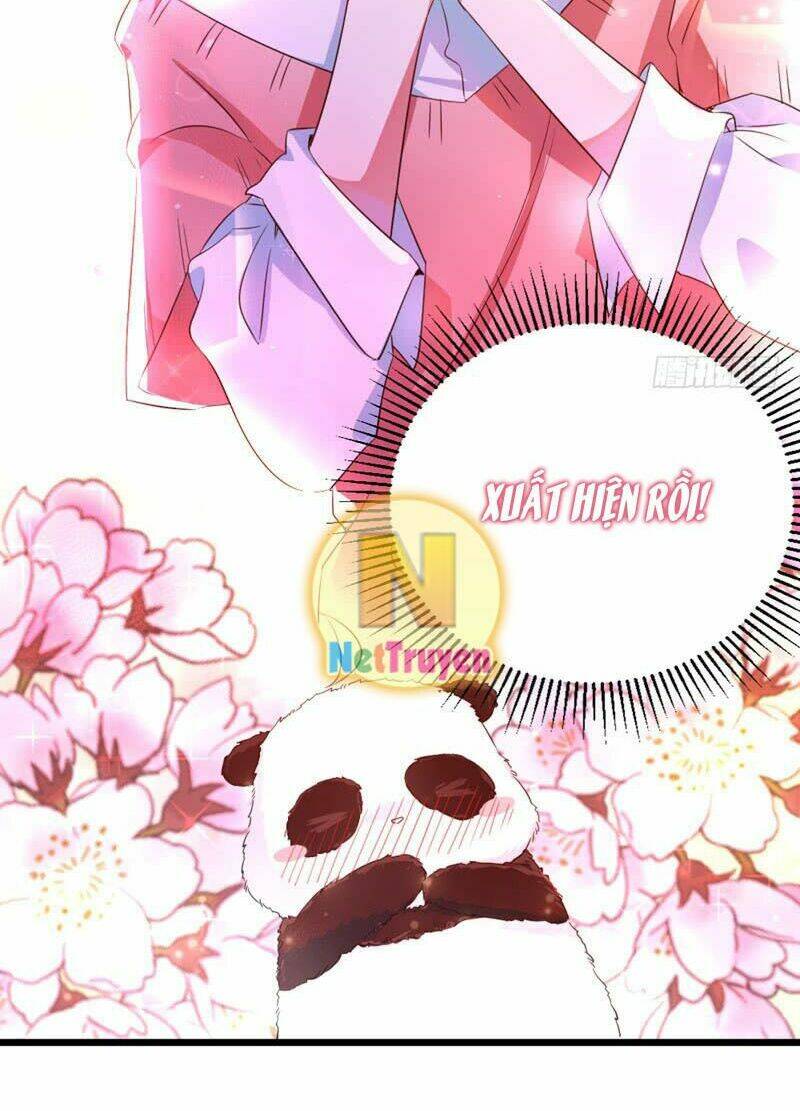 thiên thần gấu trúc muốn được ôm chapter 4 22