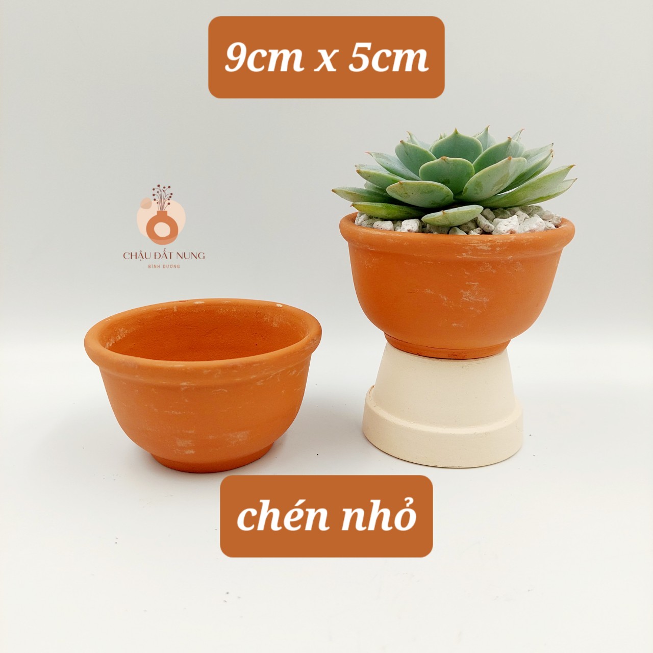 Chậu đất nung Bình Dương- Bắp cải 86, miệng chậu 8~9cm, chiều cao 6~7cm