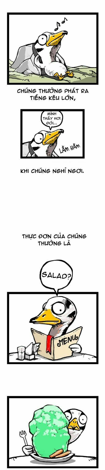 earth, human, and animal chapter 18 8