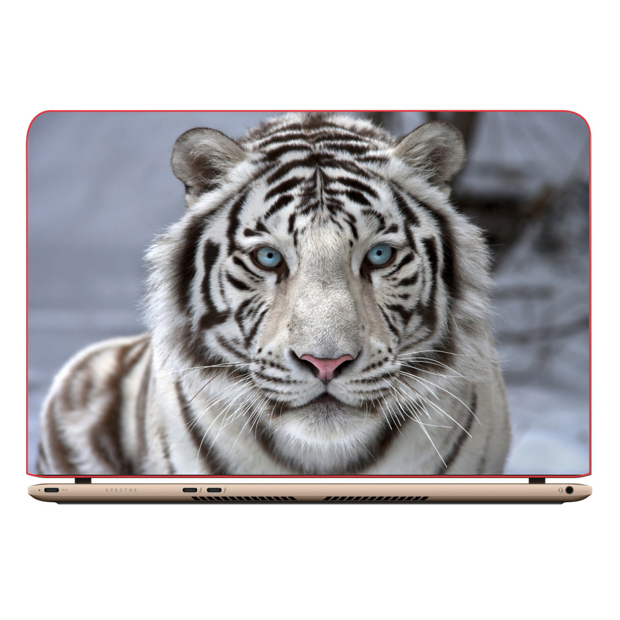 Miếng Dán Trang Trí Decal Laptop Animal DCLTDV 282