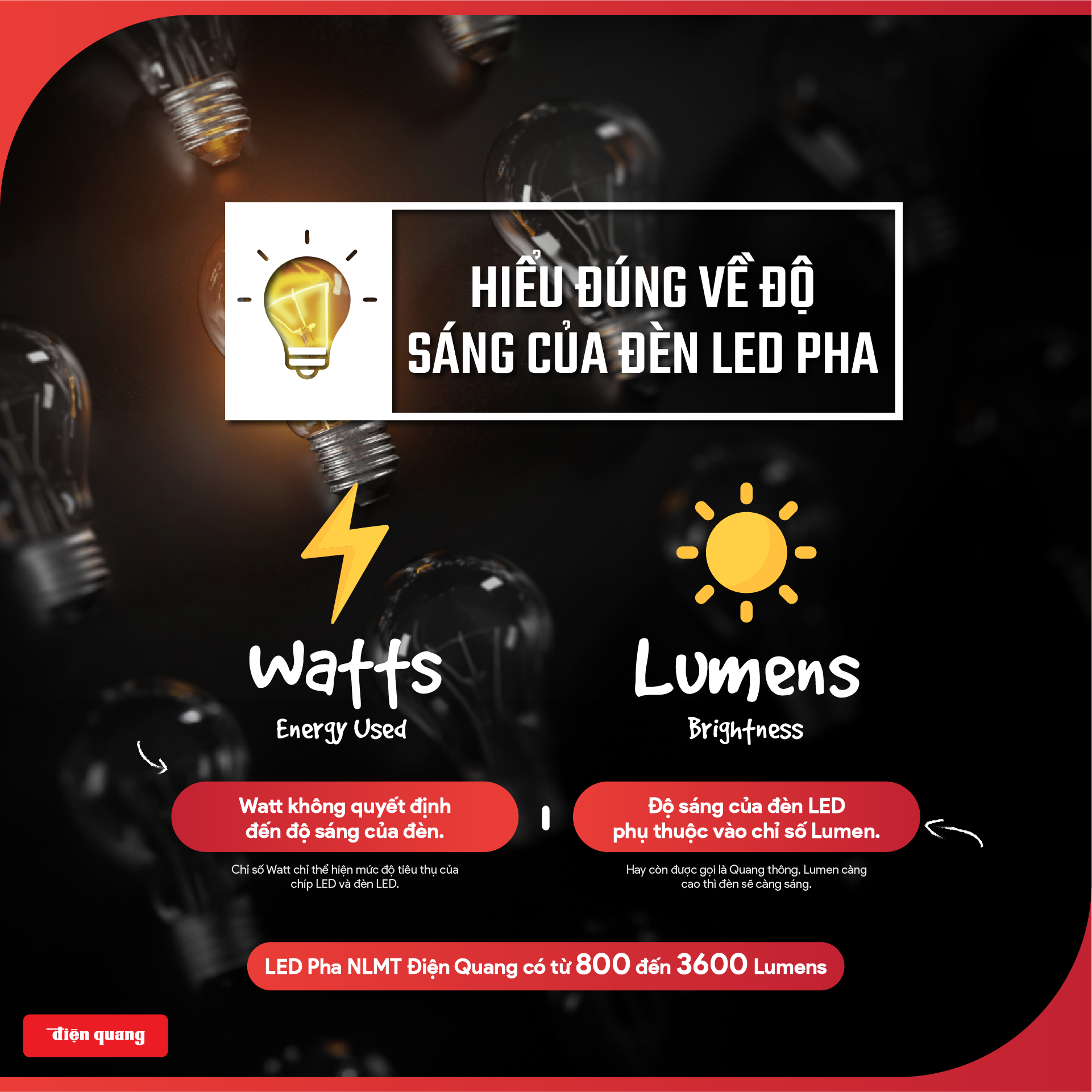 Bộ đèn LED Pha NLMT Điện Quang ĐQ LEDSLN 765