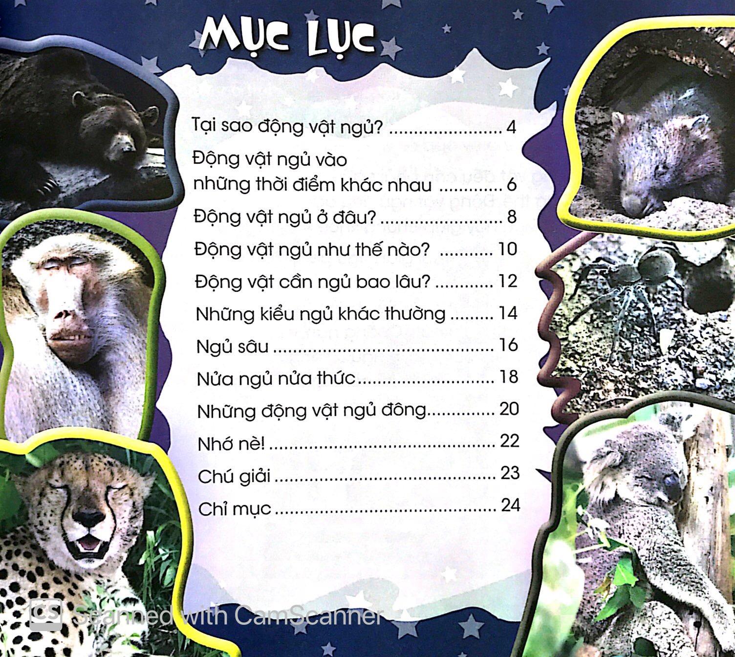Độc Lạ Phi Thường - Giấc Ngủ Muôn Hình