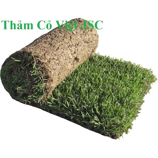 Hạt Giống Thảm Cỏ Bermuda gói 100g - Cỏ Sân Vườn - Cỏ Thảm - Cỏ Trồng Cảnh Quan