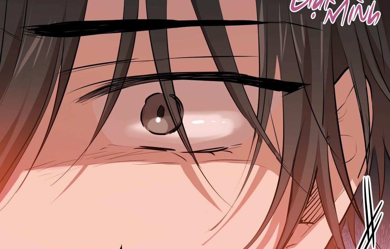 đàn thỏ của habibi chapter 26 101