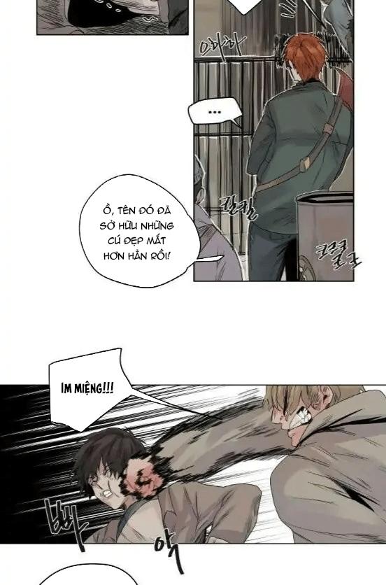 ánh nhìn của quạ chapter 6 14