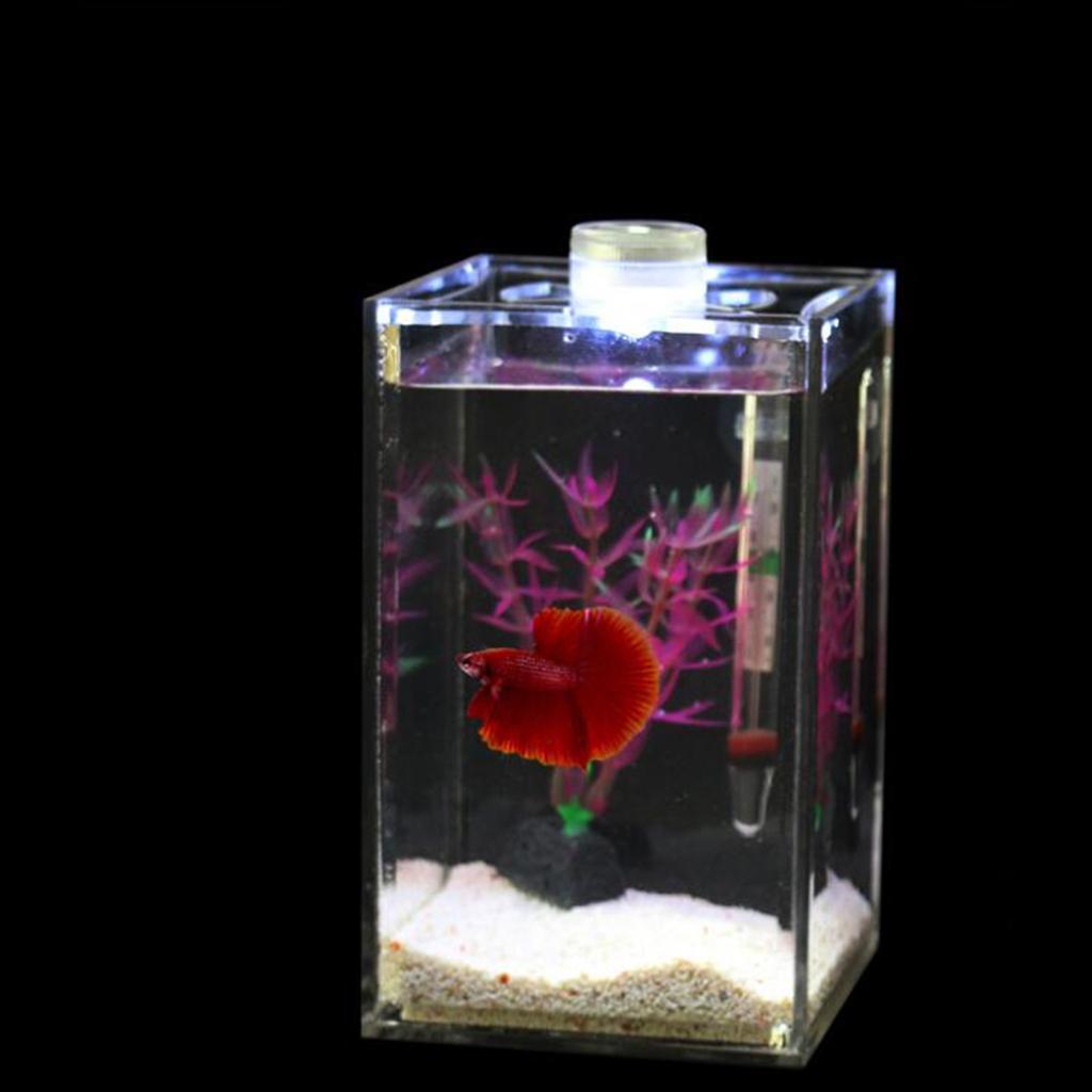 2pcs LED Lighting Aquarium Small Fish Tank Betta Tank Acrylic 10x10x16cm