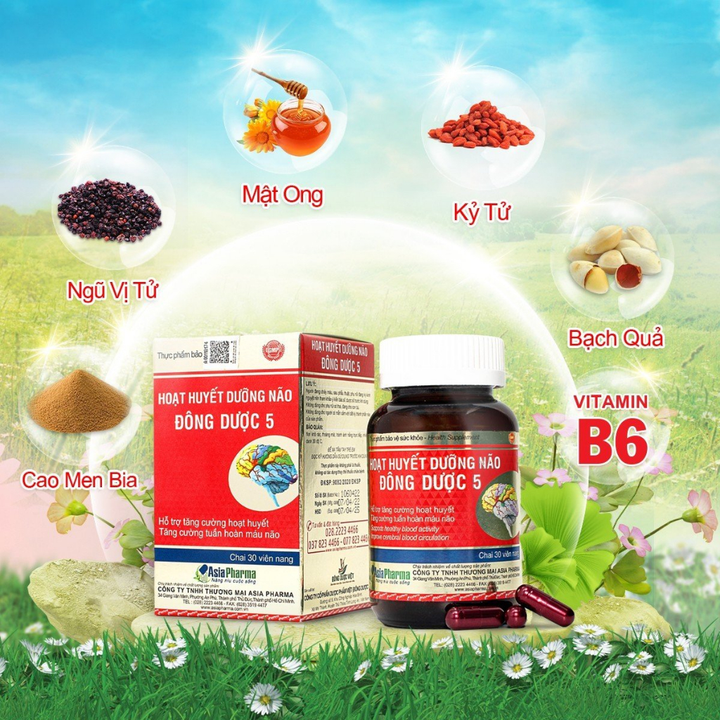 [COMBO 2 HỘP] Viên uống hoạt huyết dưỡng não Đông Dược 5 Asia Pharma hỗ trợ thiểu năng tuần hoàn não - Hộp 30 viên