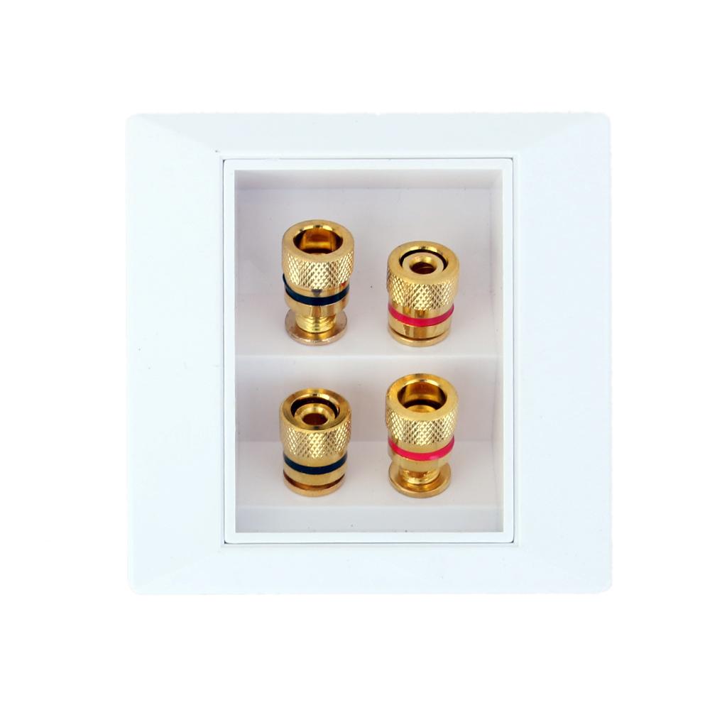 4 Count Speaker Wall Plate 2+4 Banana Binding Posts for Speaker Decor