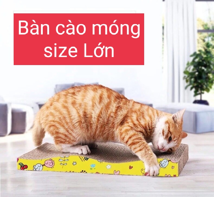 *HCM* (SIZE TO) BÀN CÀO MÓNG CHO MÈO HÌNH GỢN SÓNG