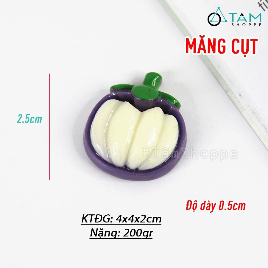 Nam châm hít tủ lạnh mô hình trái cây HTL-08