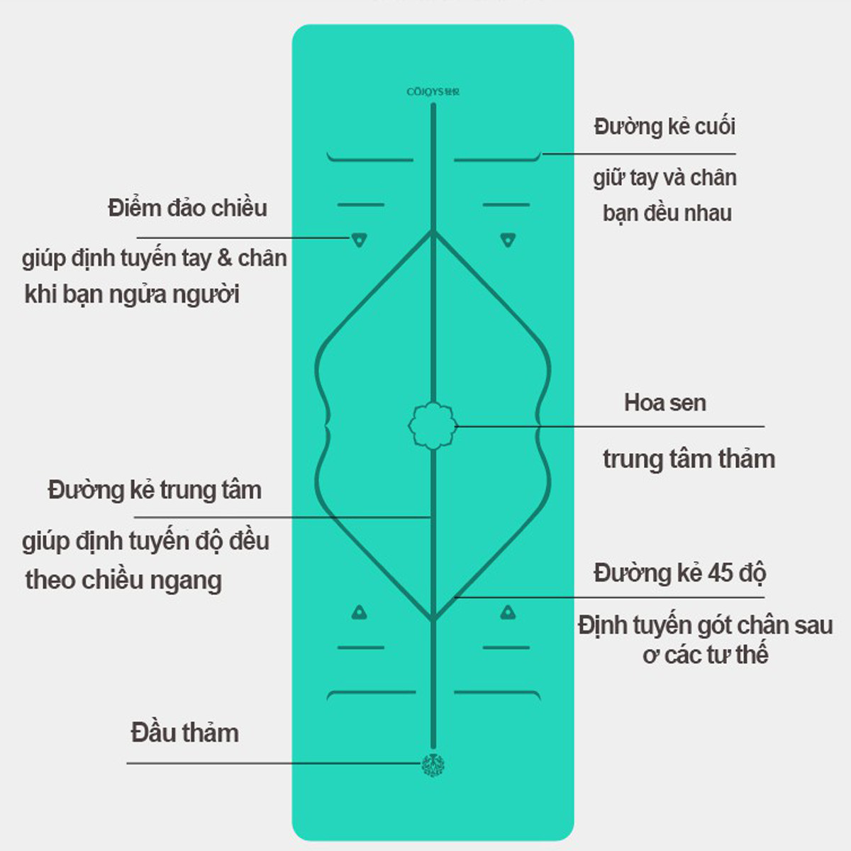 Thảm Yoga Định Tuyến TPE 2 Lớp Cao Cấp Amalife + Bao Thảm + Dây Buộc