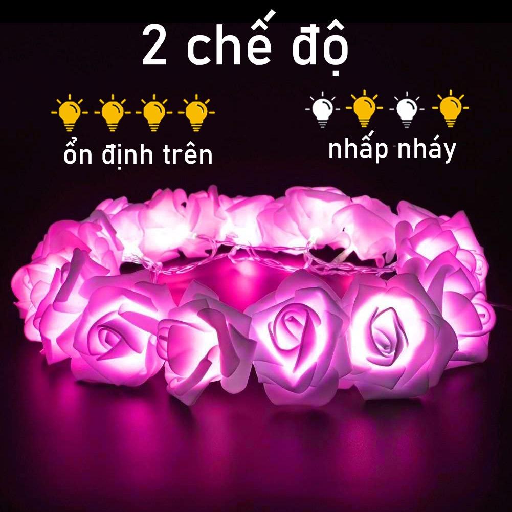 Dây đèn LED 40/20/10 bóng hình hoa hồng lãng mạn dùng trang trí