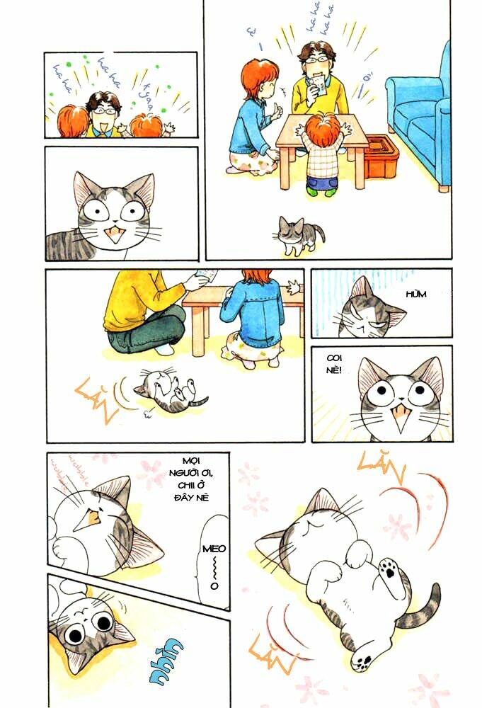 chi's sweet home chapter 24 5