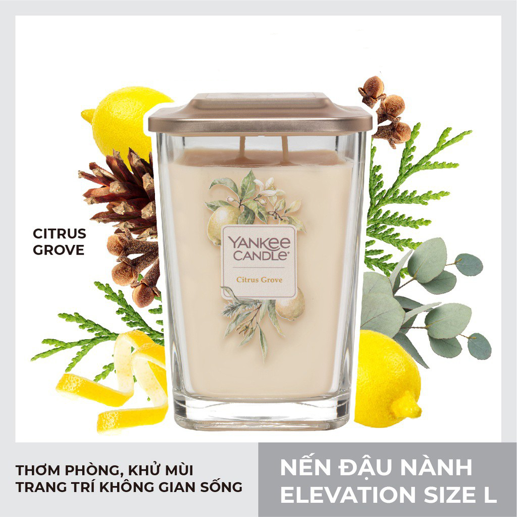 Nến ly vuông Elevation Citrus Grove - Size L