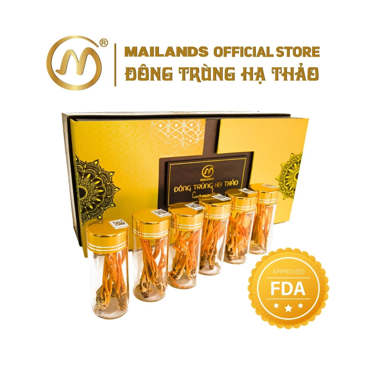 Đông Trùng Hạ Thảo Cordyceps KING