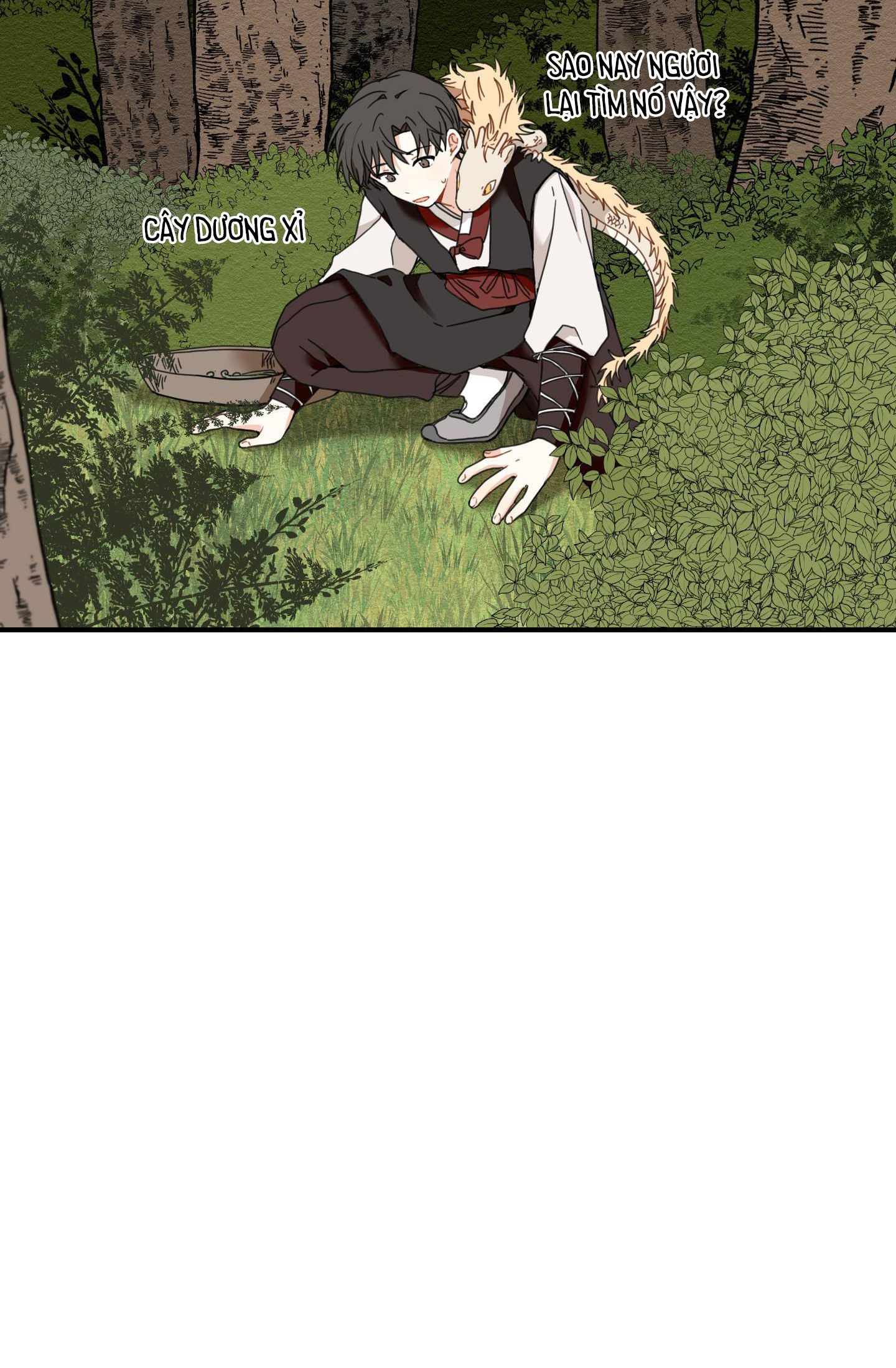 đường hoa liên kiều rơi chapter 6 72