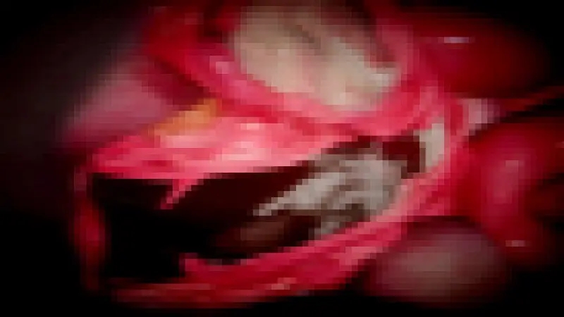 đừng gây sự với karu chapter 1 119