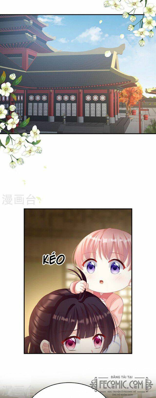 kiều phu có hỉ chapter 69 17
