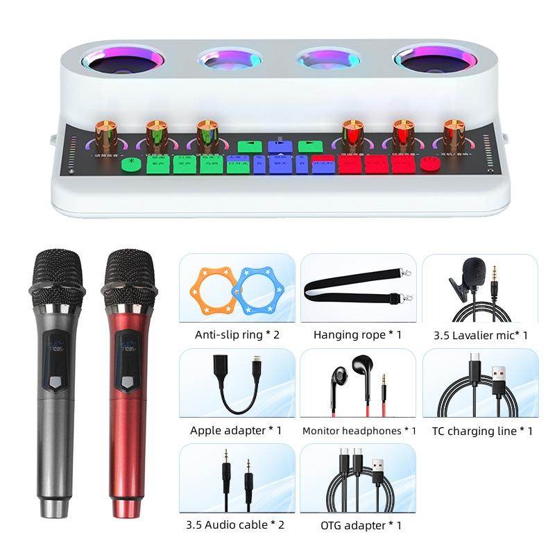 Loa Sound Card Ngoài Trời Máy Tích Hợp Karaoke Tại Nhà Bluetooth Boombox Không Dây Phát Sóng Trực Tiếp/Tiệc/PC/Điện Thoại Di Động Màu sắc: Bộ 2 mic-S20