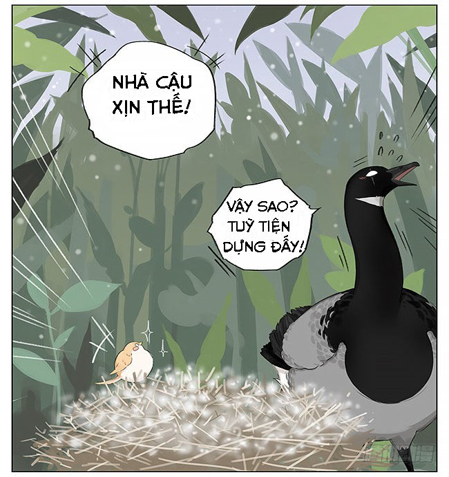 sẻ chiếu mới và nhạn phong sương chapter 5 12