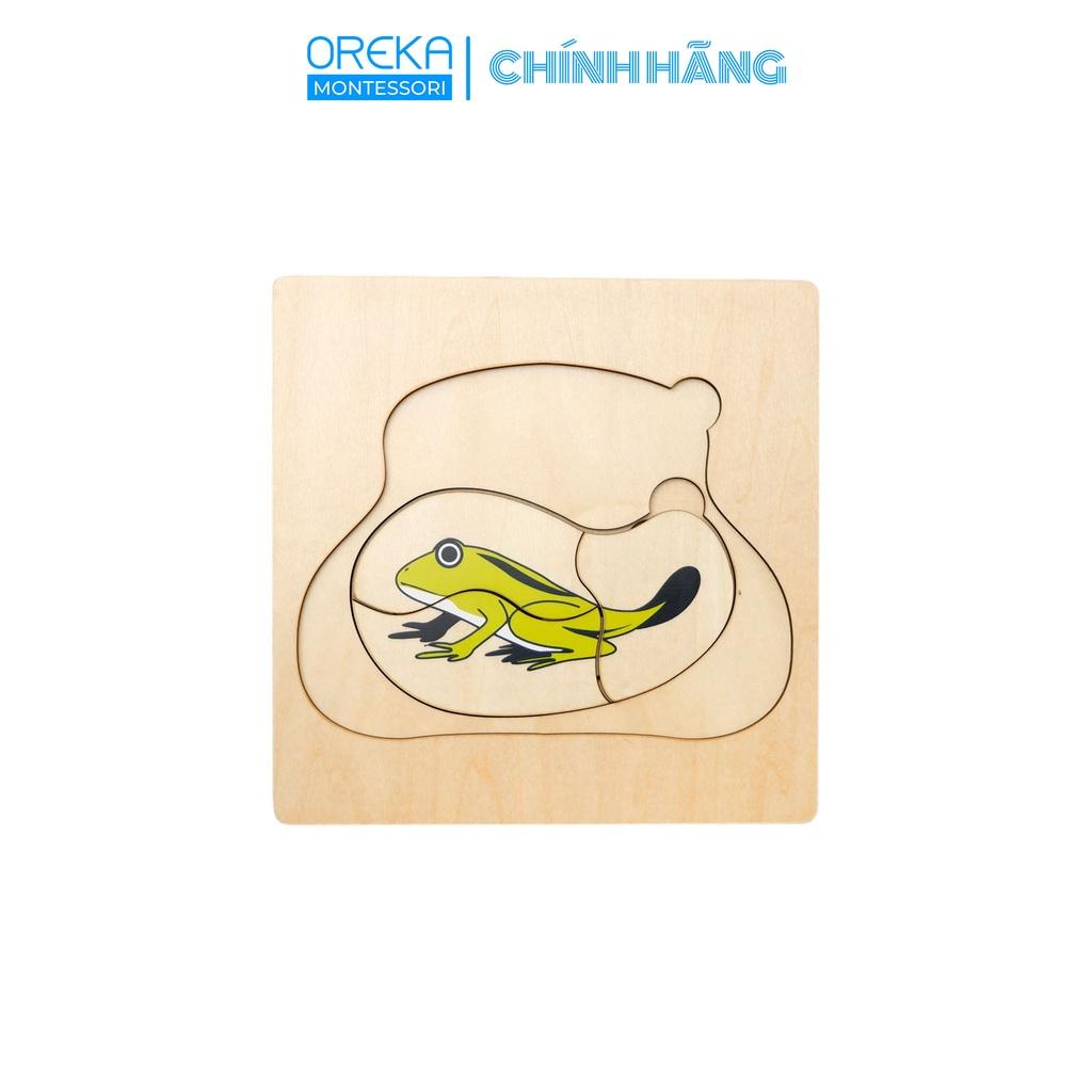 Đồ chơi trẻ em Oreka Montessori Ghép hình động vật:Vòng đời của Ếch - 0641500