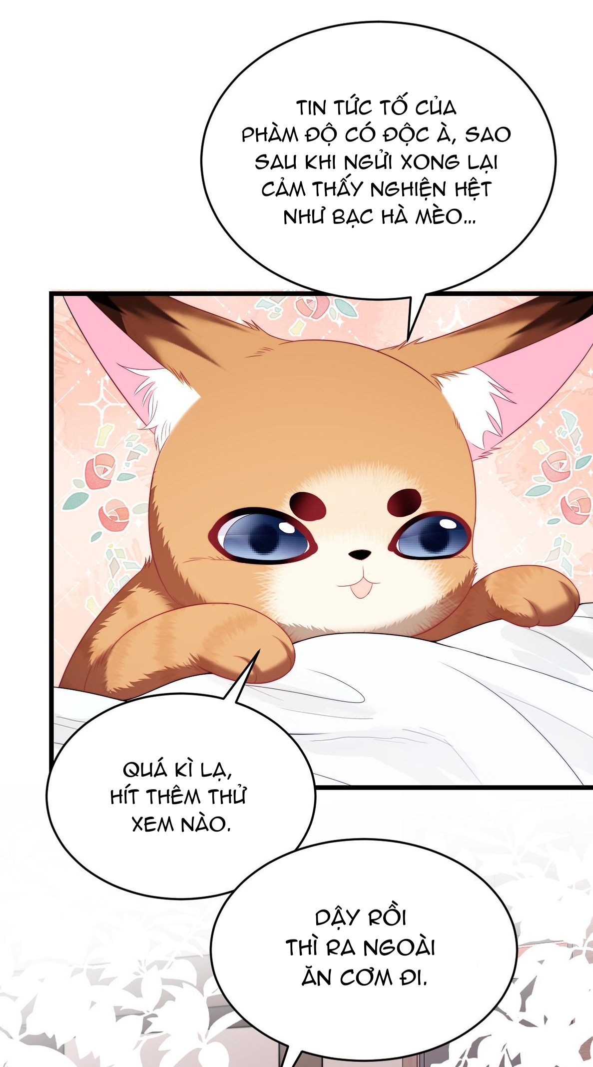 mèo hoang nhỏ của học bá quá chọc người rồi chapter 35 31