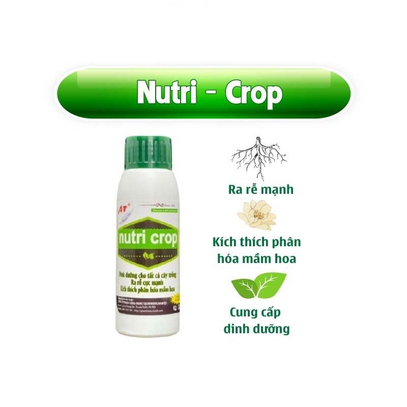Phân Bón Hữu Cơ Cho Rau Ecom Nutri Crop 100ml Kích Bật Mầm Xanh Nuôi Dưỡng Rau Sạch, Cây Trong Nhà An Toàn