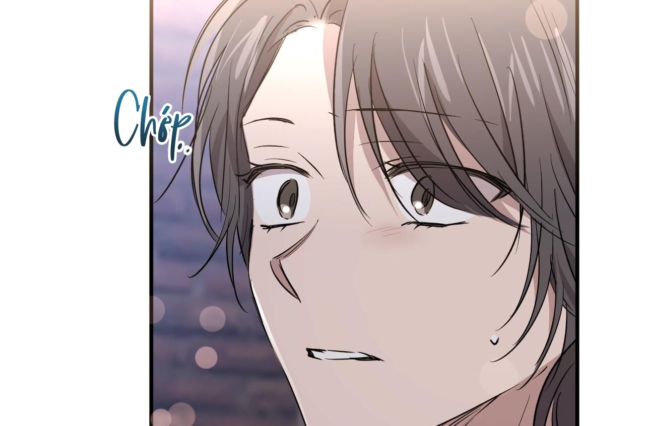 những chú thỏ của hapypy chapter 58 176