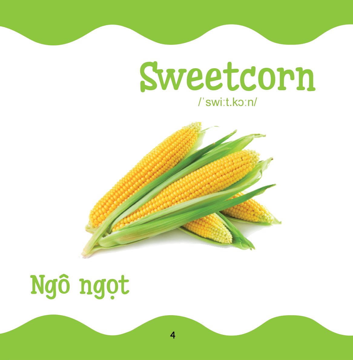 Cùng Con Trưởng Thành - Từ Điển Bằng Hình Cho Trẻ Mầm Non - Rau Củ Quả _DTI