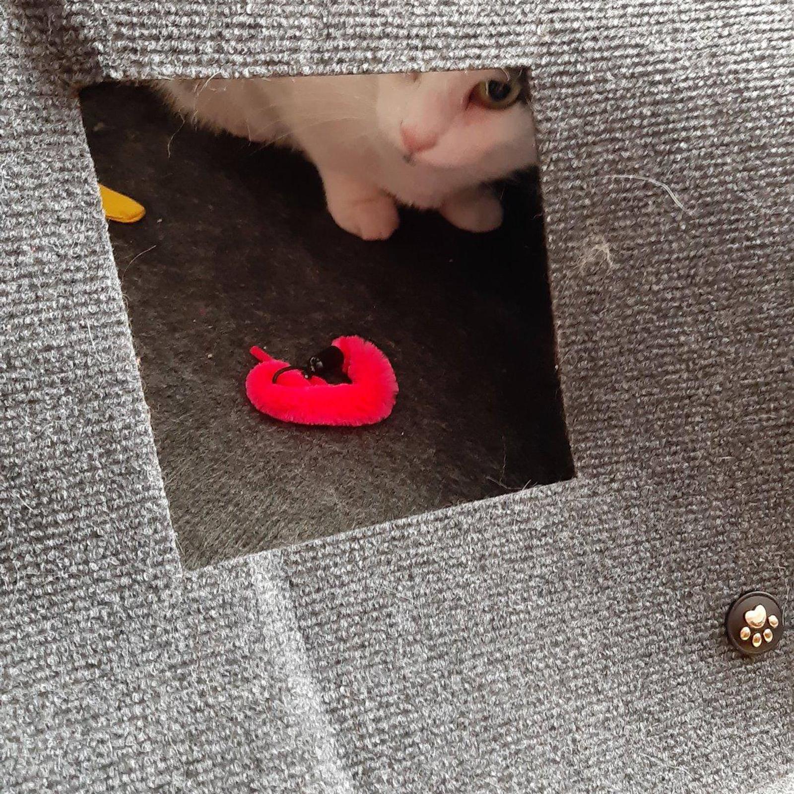 Collapsible Cat Toy Mat, Interactive Hideaway Supplies, Training Mat, Dog Cushion Mattress Blanket for Play Indoor Kitten Small Animals Cats