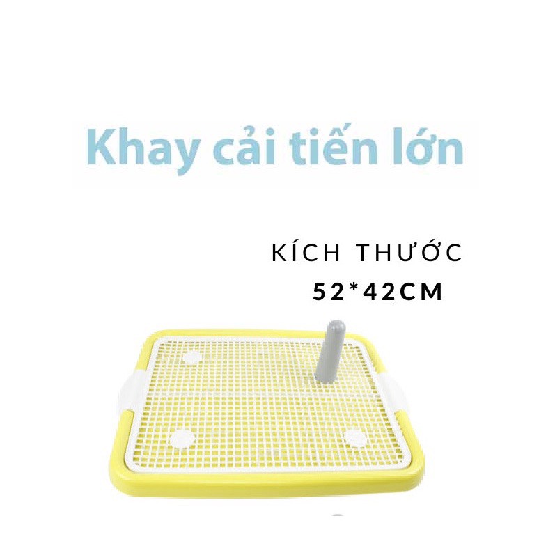 Khay vệ sinh Cho Chó Size Lớn 42x52cm Kèm Trụ