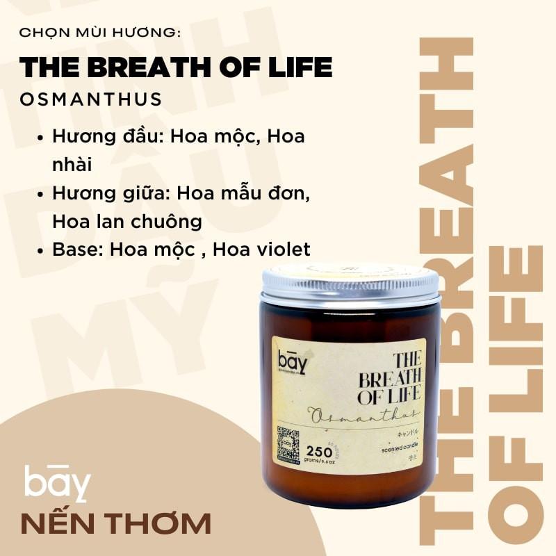 Nến thơm phòng The Breath Of Life ️️ tinh dầu nhập khẩu Mỹ, sáp cọ mềm tự nhiên, an toàn tuyệt đối