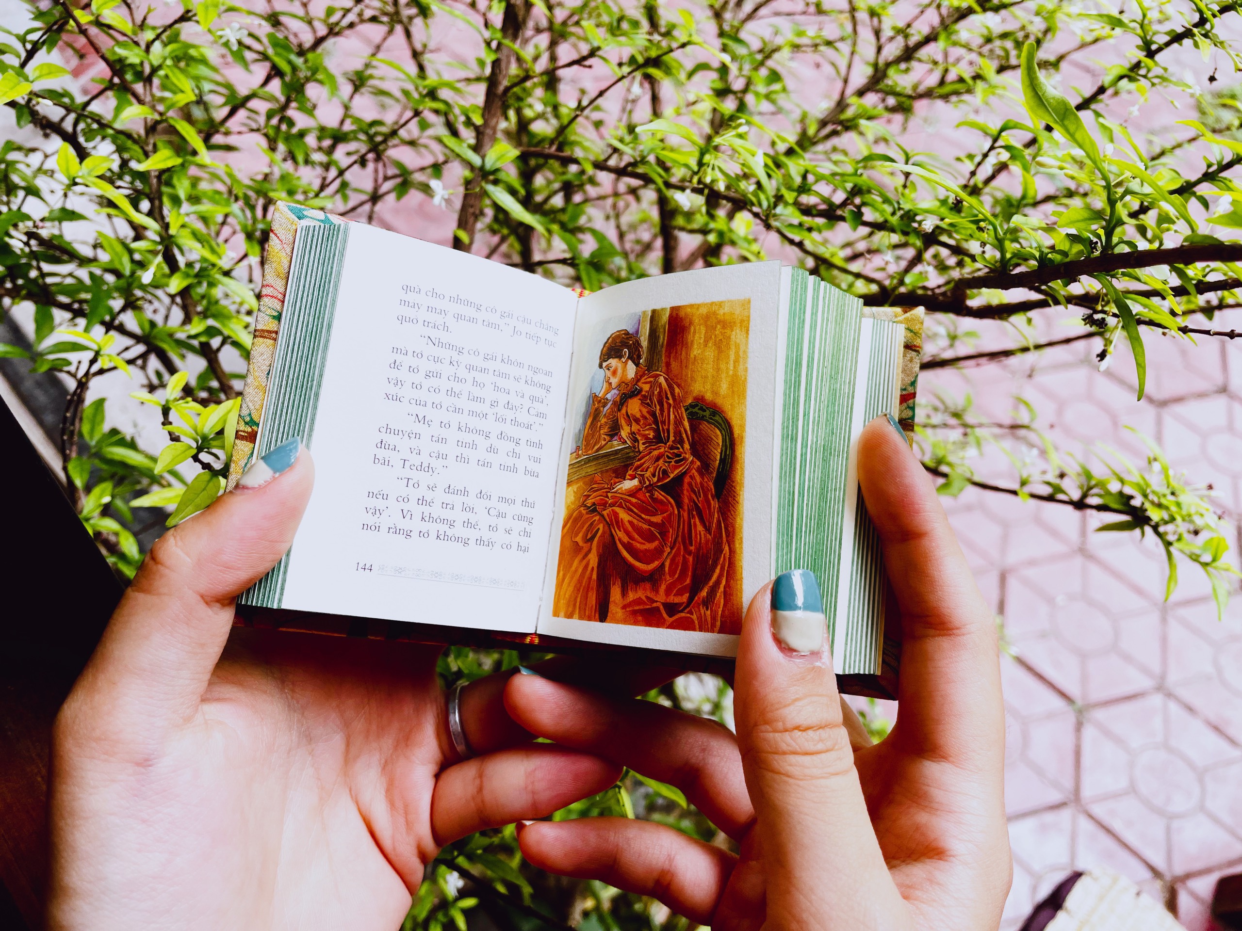 Bản giới hạn vi quyển NHỮNG NGƯỜI PHỤ NỮ BÉ NHỎ (Tặng kèm hộp ngăn kéo và khăn lụa tơ tằm) của Louisa May Alcott