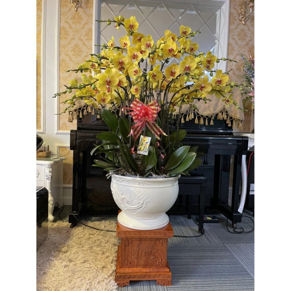 Đôn hoa sen gỗ hương,Đế kê tượng cao 20cm cỡ mặt vuông 20,25,30,40cm