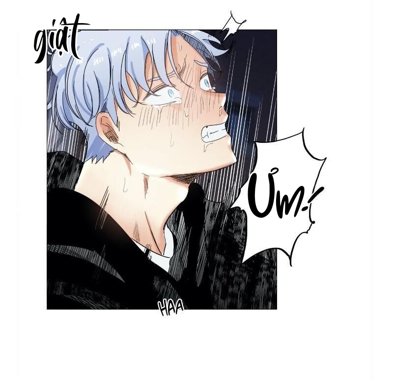 hôm nay lại là một ngày nắng ấm chapter 14 22