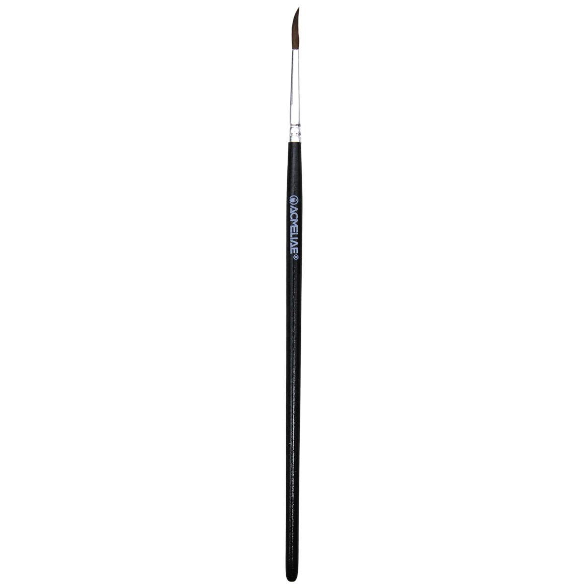 Hộp Thiếc 12 Bút Chì Màu Nước Kèm Cọ - Acmeliae ART-AQ12