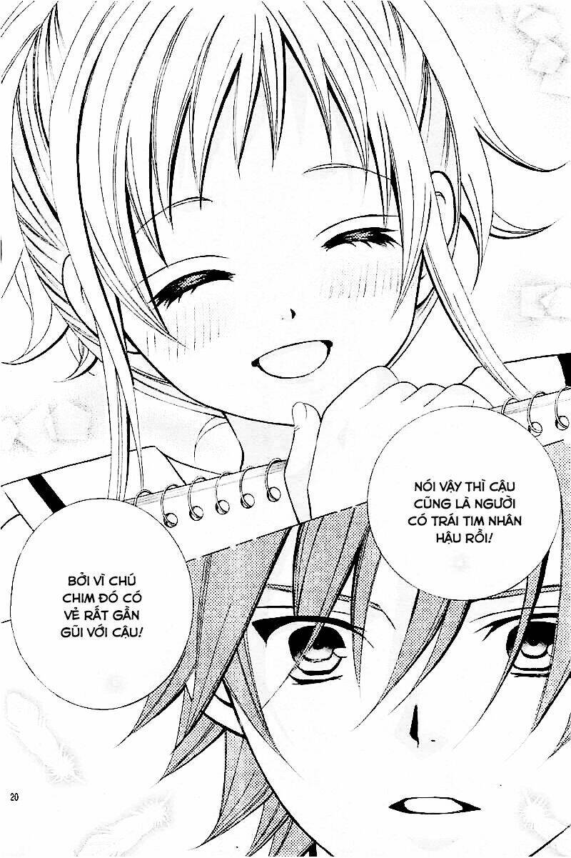 cuộc gặp gỡ diệu kỳ chapter 28 21