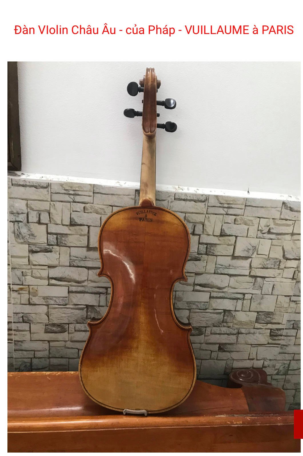 Đàn Violin Châu Âu Size 4/4