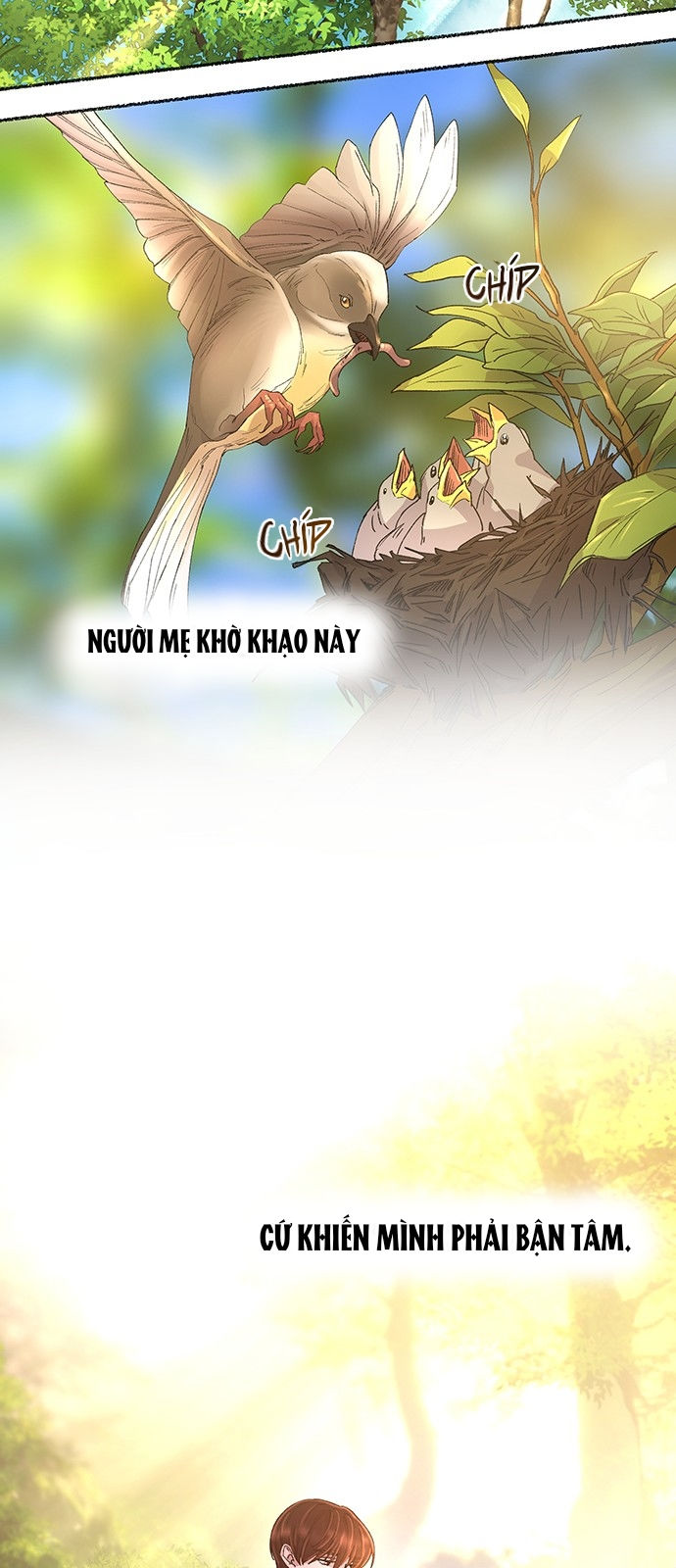 như gió trên cành cây khô chapter 43 38